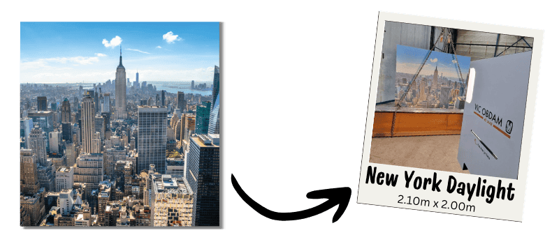 New york daylight Peesdoek breed
